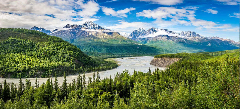 CBD Oil in Alaska