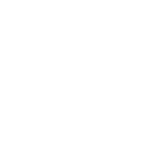 An affiliate link paired with a unique coupon code